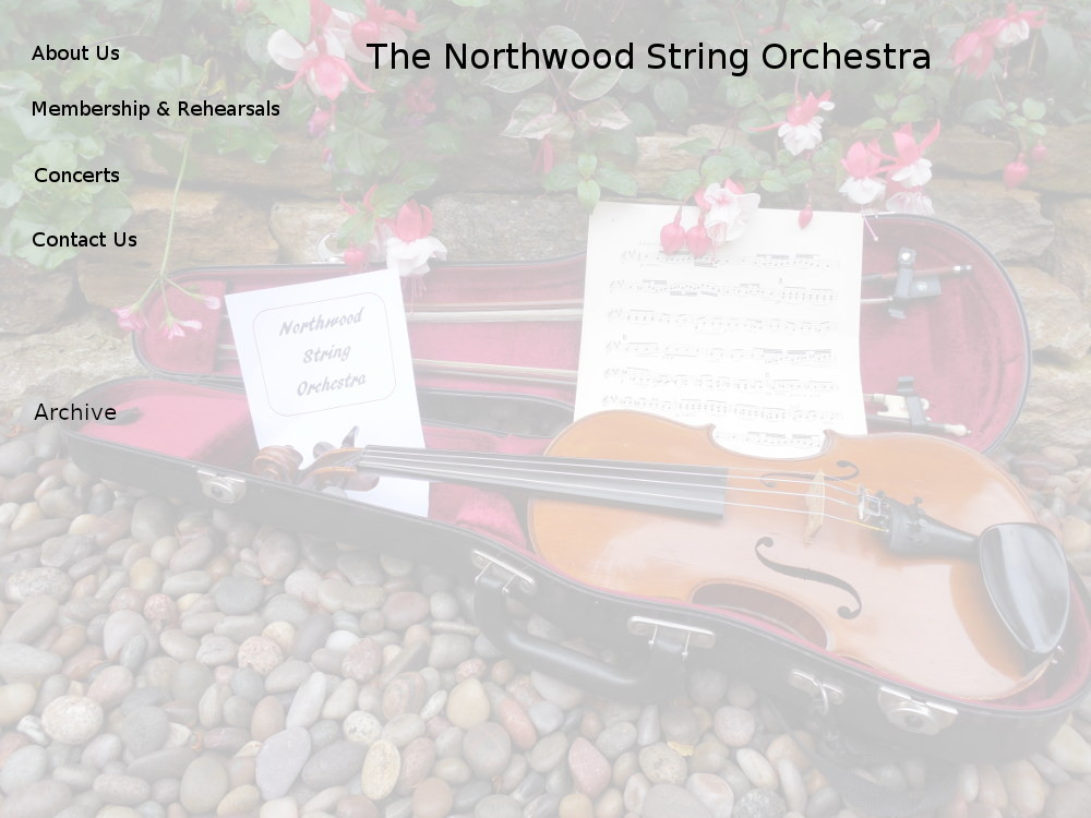 An Amateur String Orchestra in Southampton
