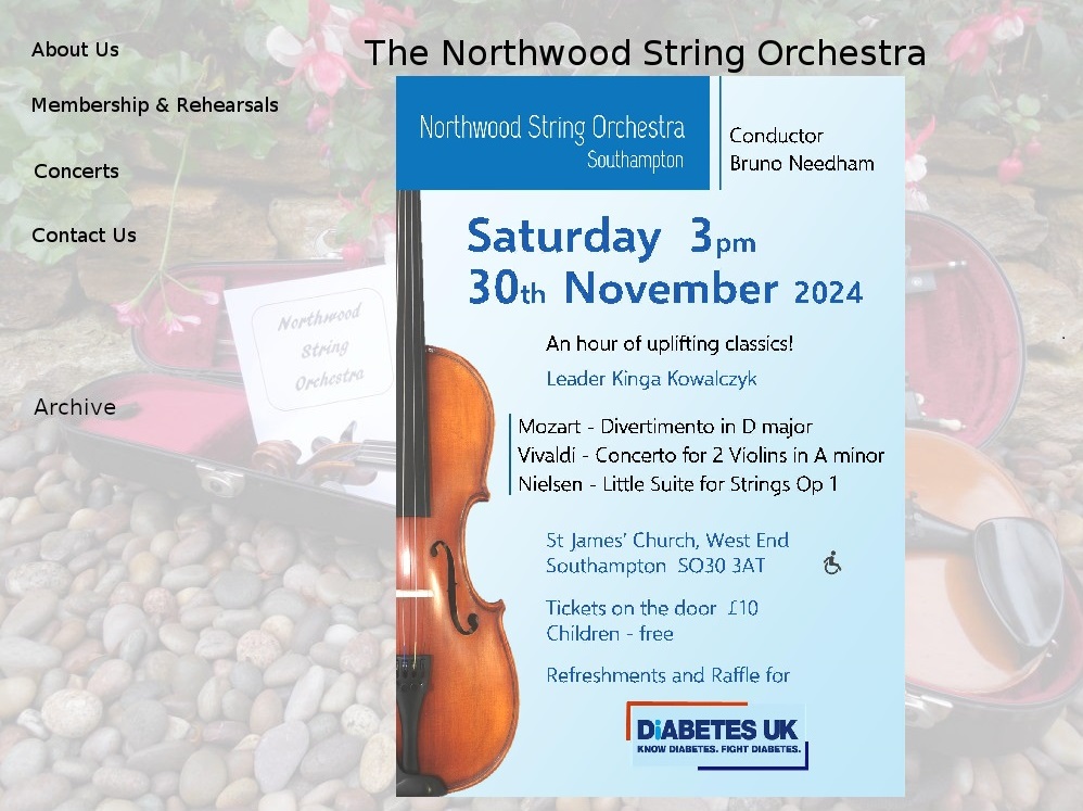 An Amateur String Orchestra in Southampton